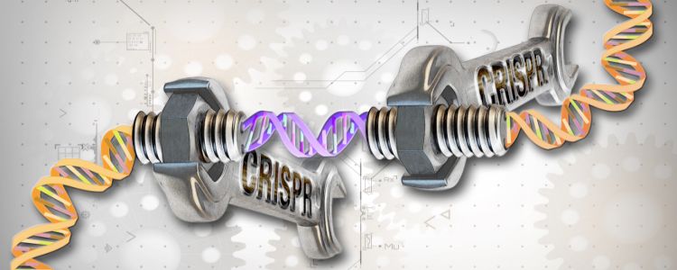 Всього за кілька років КРІСПР призвів до революції в дослідженнях