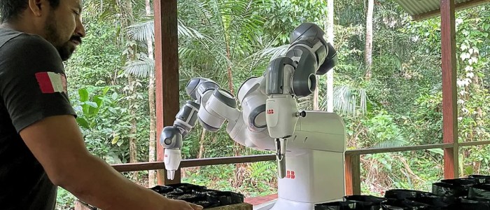 Робот допомагає відновити ліси Амазонки