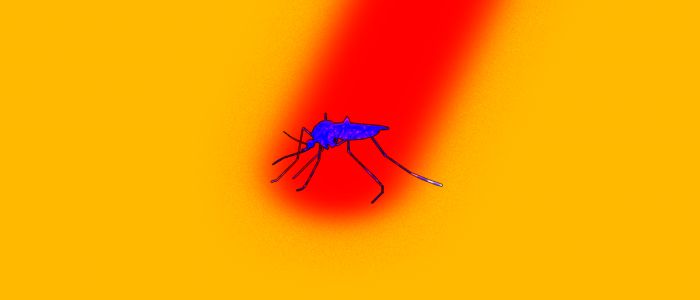 Простий промінь світла може виявити заражених вірусом Зіка комарів