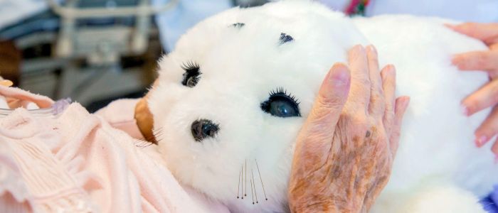 Чарівні тюлені-роботи можуть допомогти хворим пацієнтам боротися з самотністю