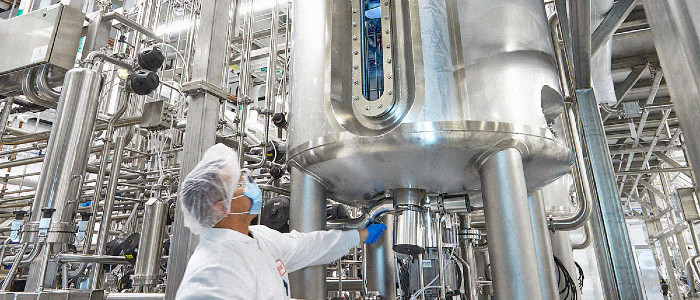 Фабрика у Каліфорнії виробляє 23 тонни вирощеного в лабораторії м'яса на рік