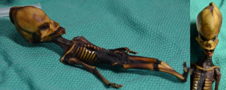 Чилійці критикують американських вчених щодо «чужоземної» мумії на ім'я Ата