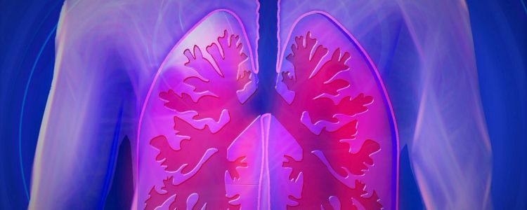 Дослідники виявили новий тип клітин, які допомагають вашим легеням боротися з інфекціями