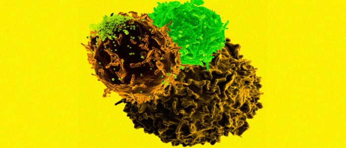Використання CRISPR проти раку визнано «дуже багатообіцяючим»