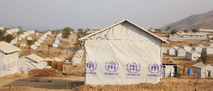 Вперше ООН попереджає про «кліматичних» біженців