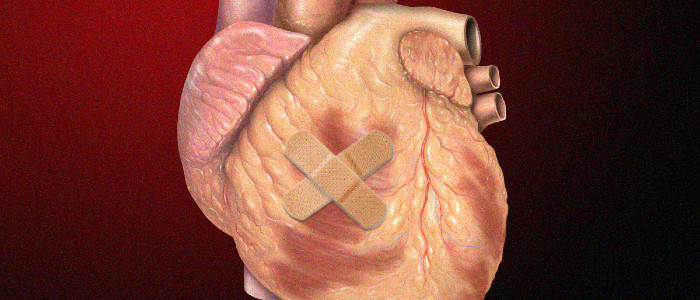 Генна терапія може вилікувати серце після серцевого нападу