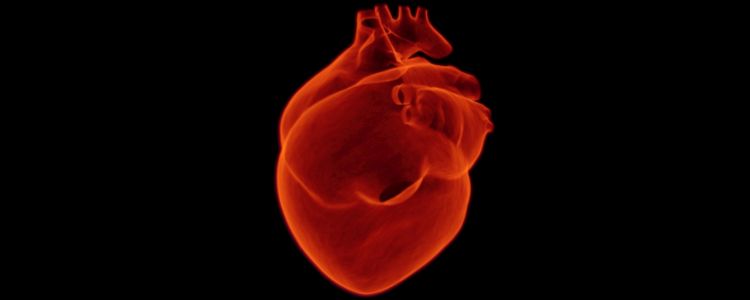 Об'єднане Короліство є новатором програми трансплантації серця