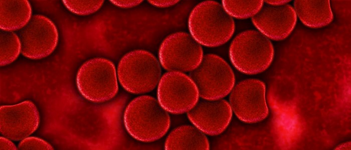 Нова штучна кров може бути перелита будь-якому пацієнтові