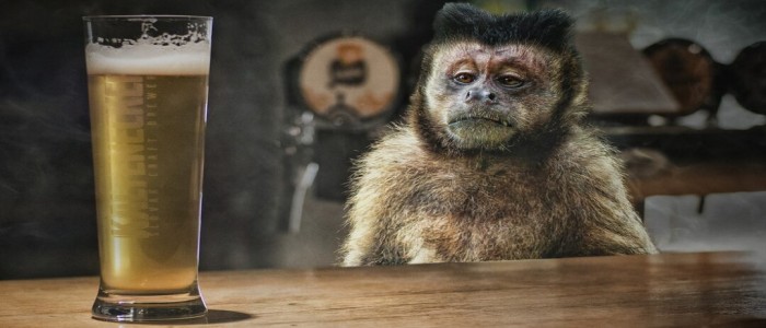 Нова генна терапія різко знижує споживання алкоголю мавпами-алкоголіками