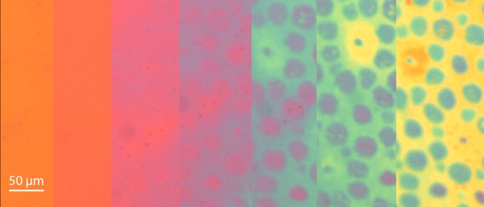 Новий матеріал змінює колір і текстуру, як восьминіг