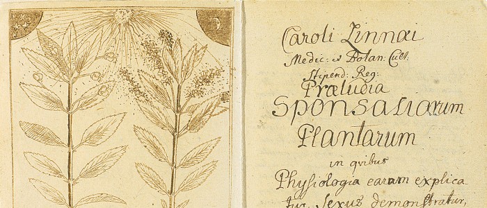 Нові види зараз відкриваються швидше, ніж будь-коли раніше