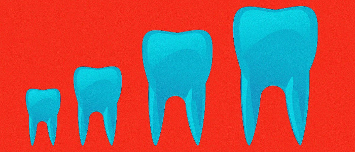 Нове лікування змушує зуби рости знову