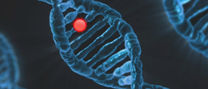 Нове лікування перетворює гени раку на мітки «з'їж мене» для імунної системи
