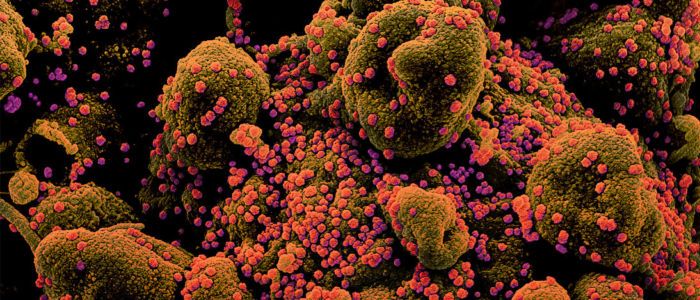 Дослідження: карантин запобіг мільйонам заражень коронавірусом
