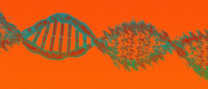 Дослідники вперше використали КРІСПР-«подрібнювач» на ДНК людини