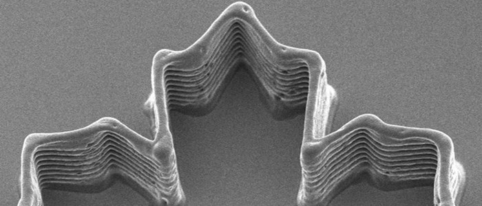 Дослідники використали хоботки комарів для 3D-друку