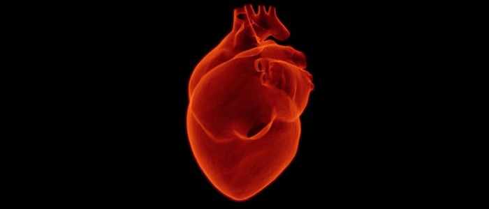 Вчені спантеличені фрагментами пластику всередині людських сердець