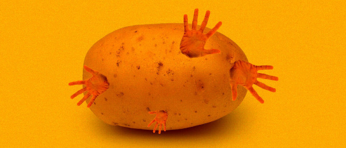 Вчені ввели людський ген в картоплю, щоб вона стала величезною