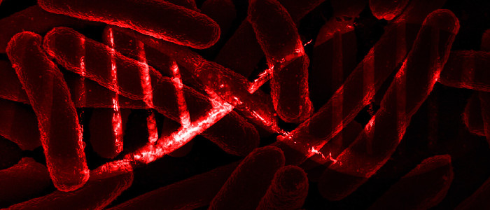 Вчені успішно зберегли дані в ДНК живої бактерії