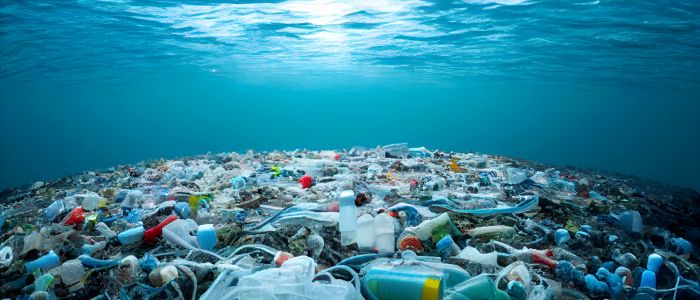Велика тихоокеанська сміттєва пляма кишить сміттєвим життям