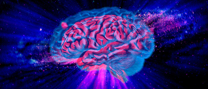 Людський мозок має дивну схожість з усім всесвітом