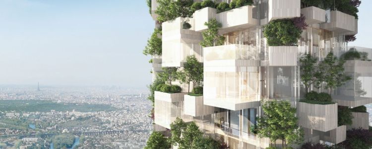 Біла лісова вежа в Парижі буде боротися зі зміною клімату за допомогою 2000 дерев