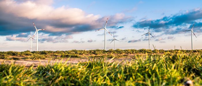 Вітряні електростанції можуть нагріти планету