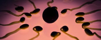 «Молекулярний презерватив» може стати майбутнім чоловічої контрацепції