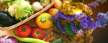 Смак не-ГМО: перша страва, створена за допомогою генного редагування CRISPR