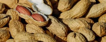Австралійські дослідники, можливо, створили ліки проти алергії на арахіс