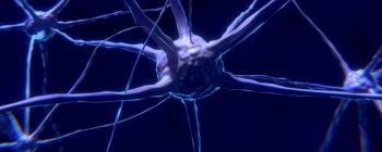 Відкриття функції «автозаповнення» мозку може революціонізувати неврологічне лікування