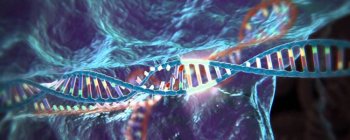 CRISPR редагування використано для лікування мишей від серповидно-клітинной анемії