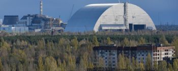 Чорнобиль: природа, захищена радіацією