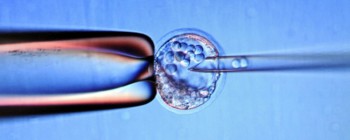 Вперше, дослідники можуть генетично модифікувати людські ембріони