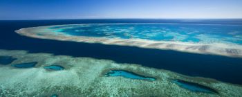 Вчені оголошують, що Великий бар'єрний риф є офіційно «при смерті»