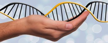 Дослідники спростовують дослідження, згідно з яким КРІСПР викликає несподівані мутації