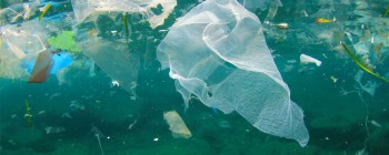 Час дії: 5,25 трлн шматків пластика забруднюють наші океани