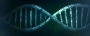 Вчені вперше записали реплікацію ДНК на відео