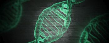 Вчені визначили 22 гена, пов'язаних з інтелектом