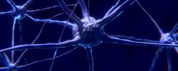 Вчені тільки що виявили новий тип нейрону