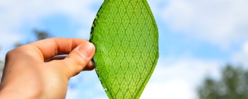 Нова технологія переробляє вуглекислий газ швидше, ніж рослини