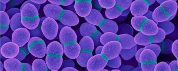 Новий препарат використовує КРІСПР для боротьби з антибіотикорезистентними бактеріями