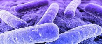 Фіолетові бактерії можуть перетворити ваші відходи в енергію