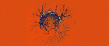 Єдина «початкова клітина» може викликати всі форми раку