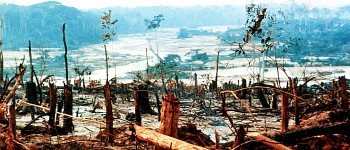 Тропічні ліси Амазонки на межі колапсу, попереджають вчені