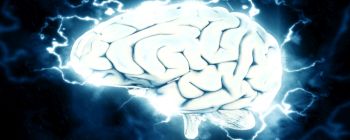 Дослідники виявили, що мозок використовує один механізм для оцінки всіх п'яти почуттів