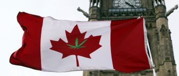 Легалізація Канадою канабісу надає більше можливостей науковцям