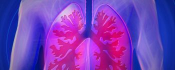Дослідники виявили новий тип клітин, які допомагають вашим легеням боротися з інфекціями