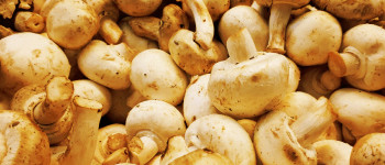 Згідно з новим дослідженням, вживання грибів значно знижує ризик раку