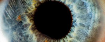 Дослідники з Австралії вирощують клітини рогівки, щоб повернути зір сліпим